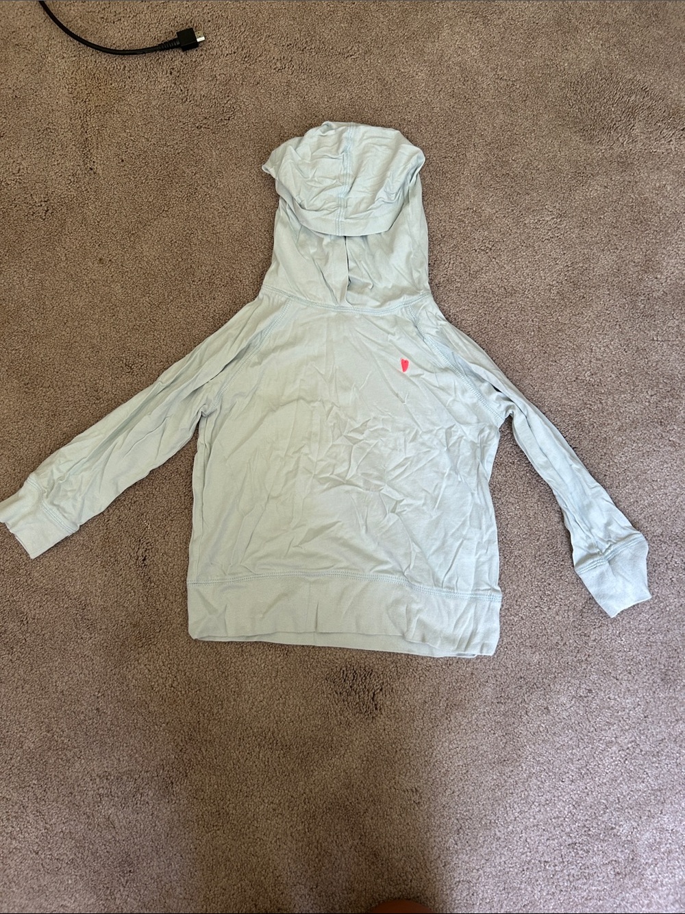 Crewcuts Light Blue Hooded Pullover with Pink Heart